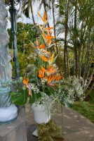 /album/fenykepgaleria/a35-jpg/